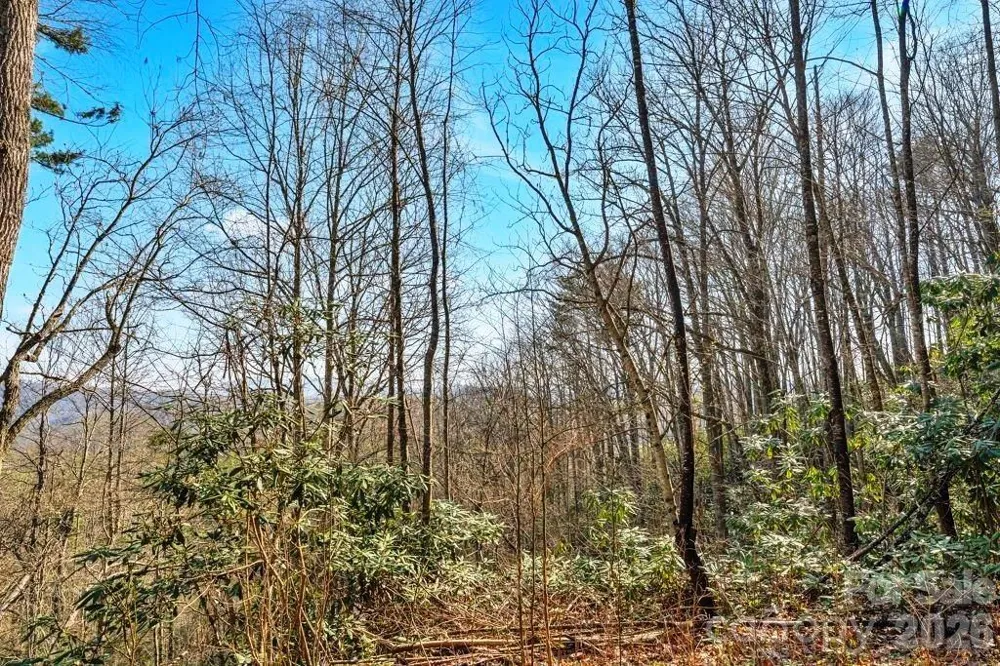 tbd Rominger Road Sugar Grove, NC 28679
