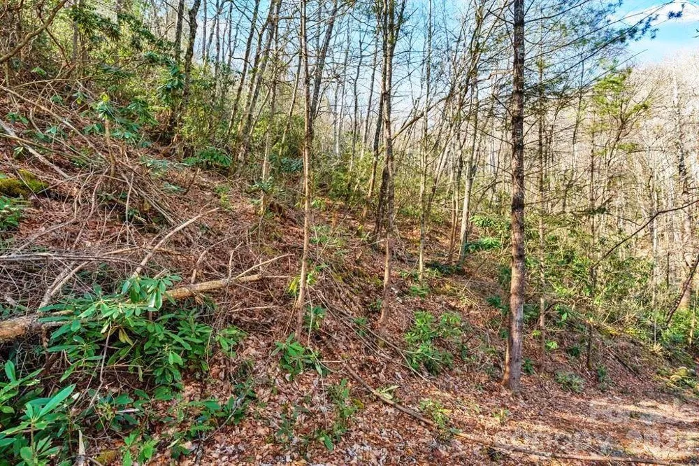 tbd Rominger Road Sugar Grove, NC 28679