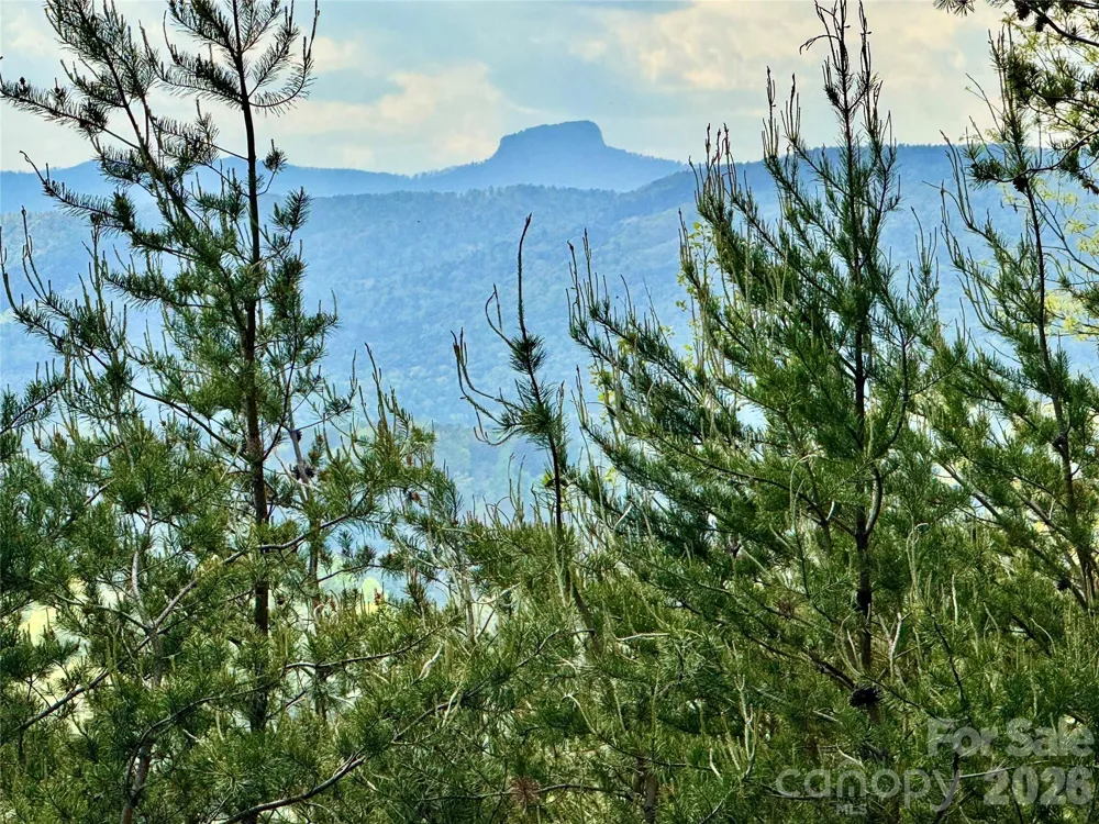 Lot 161/162 Rocky Falls Lane #161/162 Lenoir, NC 28645