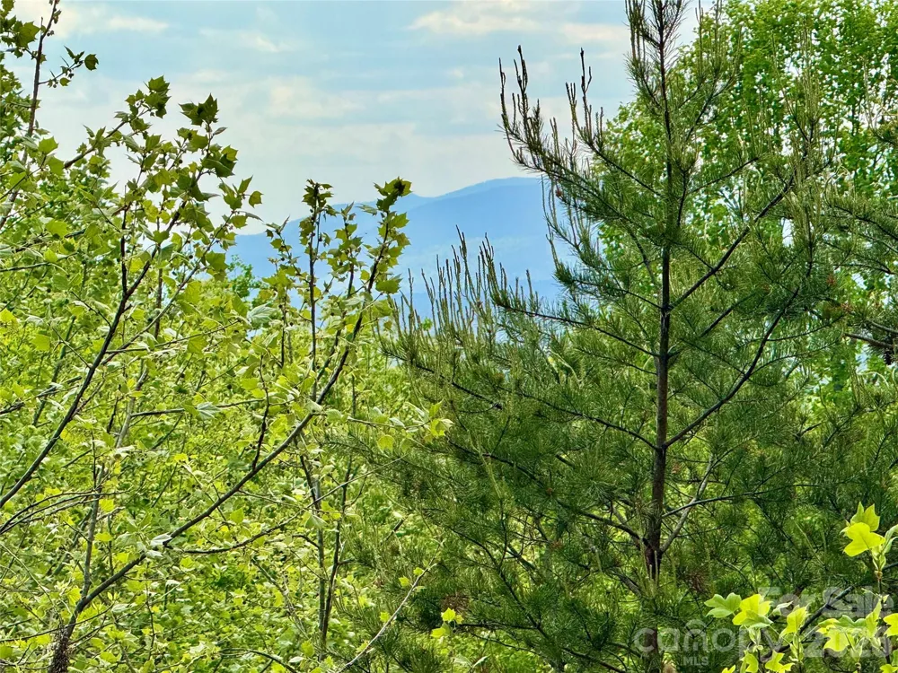 Lot 161/162 Rocky Falls Lane #161/162 Lenoir, NC 28645