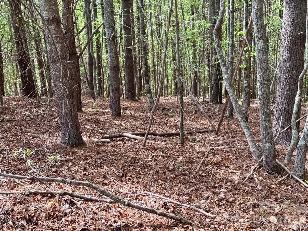 Lot 161/162 Rocky Falls Lane #161/162 Lenoir, NC 28645