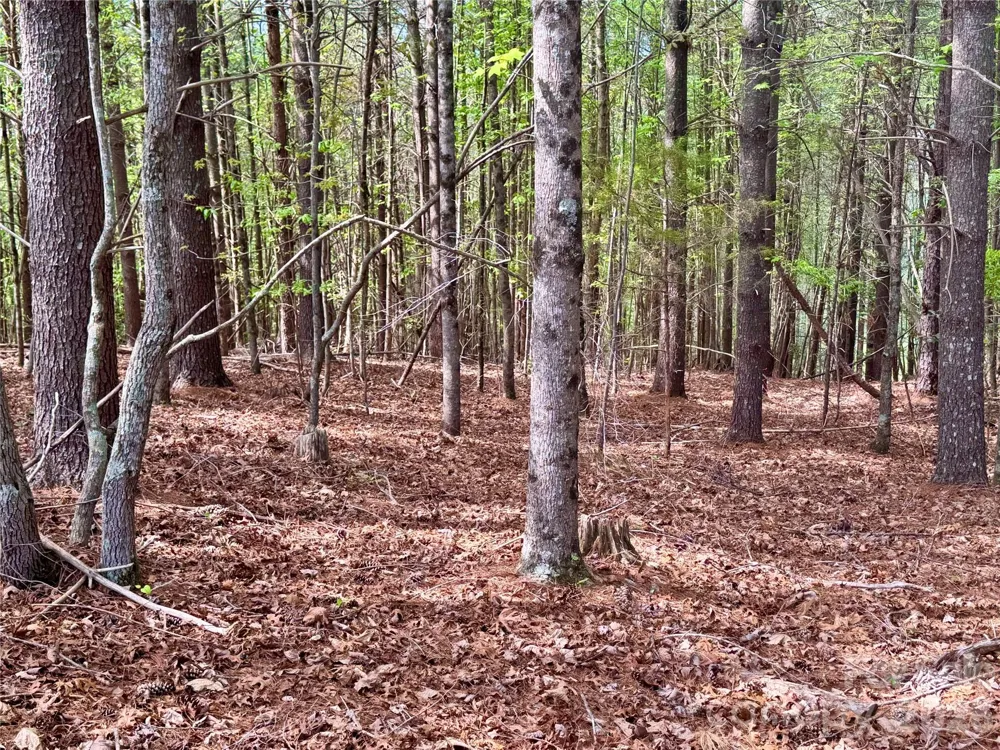 Lot 161/162 Rocky Falls Lane #161/162 Lenoir, NC 28645