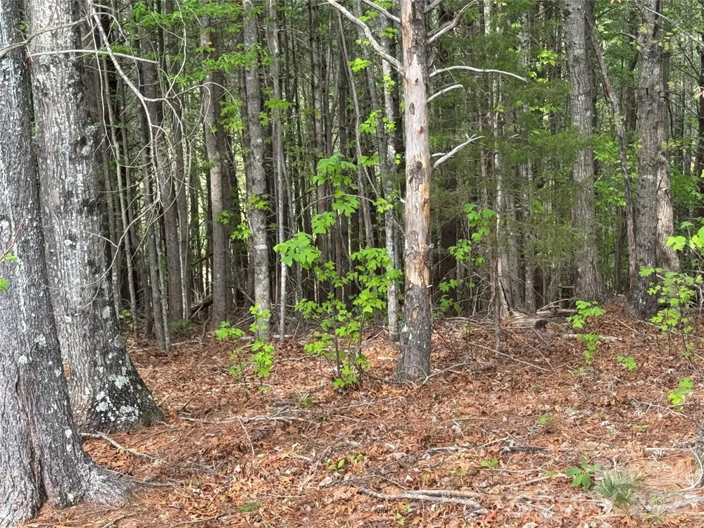 Lot 161/162 Rocky Falls Lane #161/162 Lenoir, NC 28645