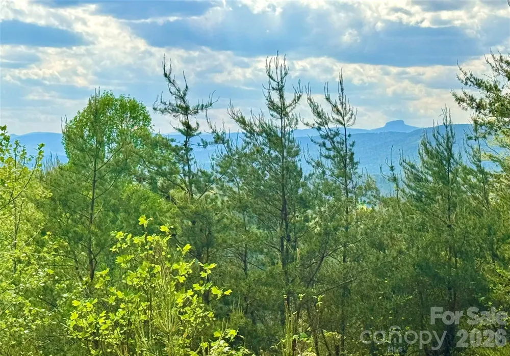 Lot 161/162 Rocky Falls Lane #161/162 Lenoir, NC 28645
