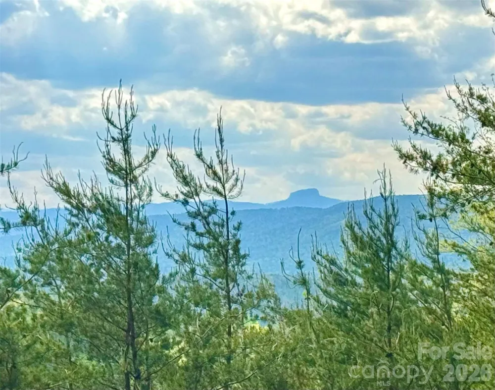 Lot 161/162 Rocky Falls Lane #161/162 Lenoir, NC 28645