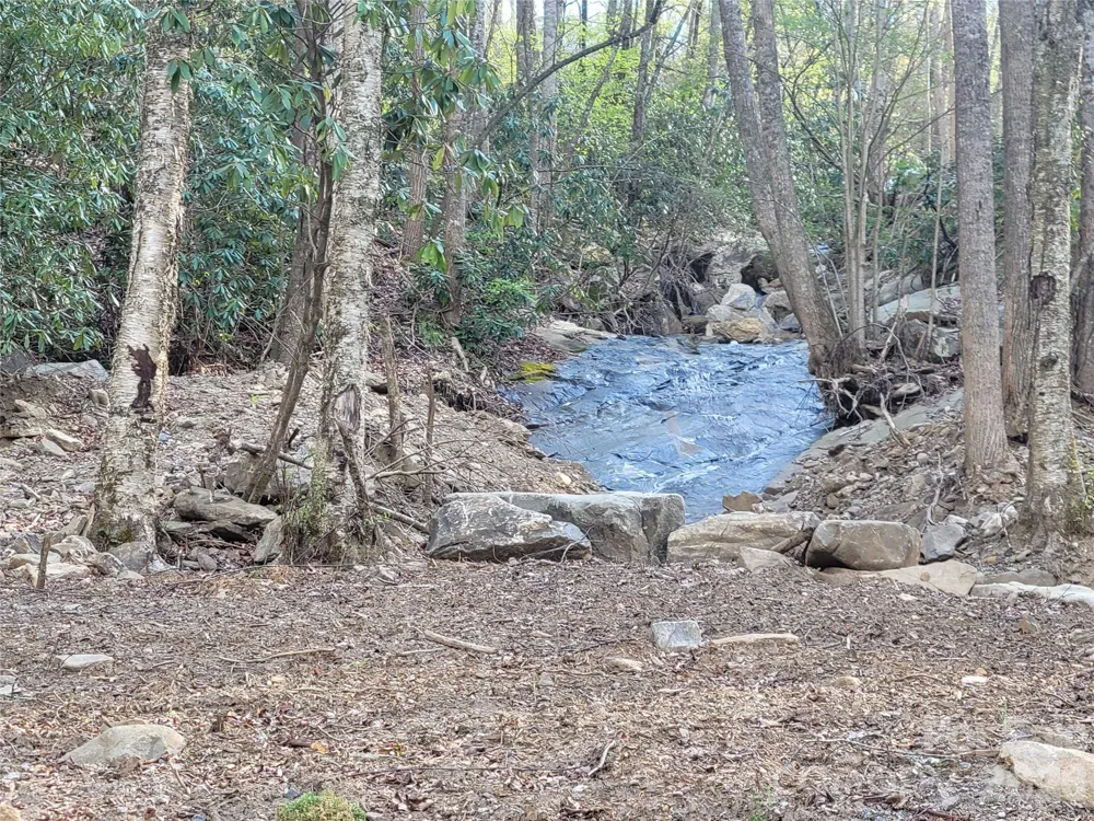 9999 Lytle Cove Road Road Swannanoa, NC 28778