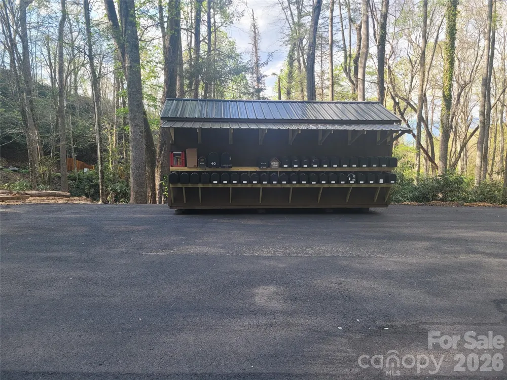 9999 Lytle Cove Road Road Swannanoa, NC 28778