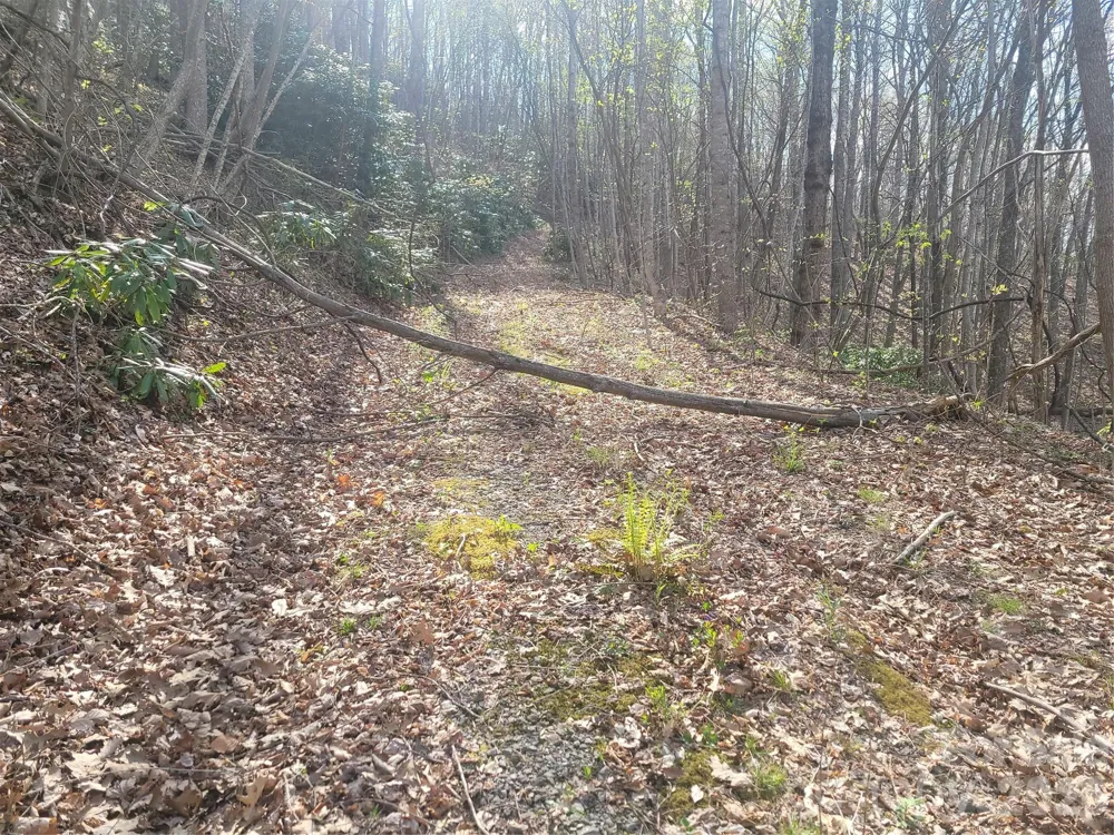 9999 Lytle Cove Road Road Swannanoa, NC 28778