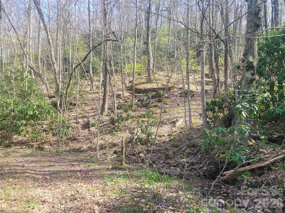 9999 Lytle Cove Road Road Swannanoa, NC 28778
