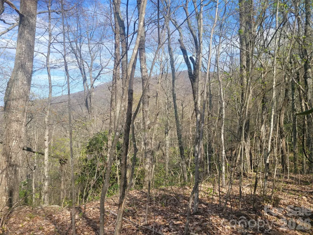 9999 Lytle Cove Road Road Swannanoa, NC 28778