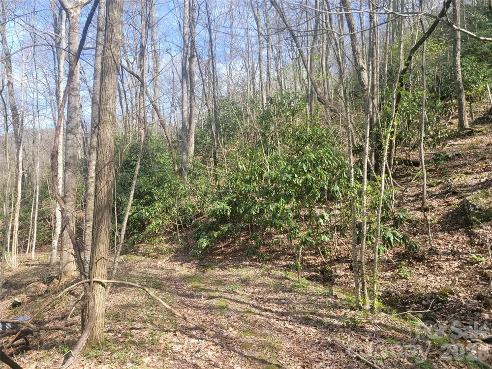 9999 Lytle Cove Road Road Swannanoa, NC 28778