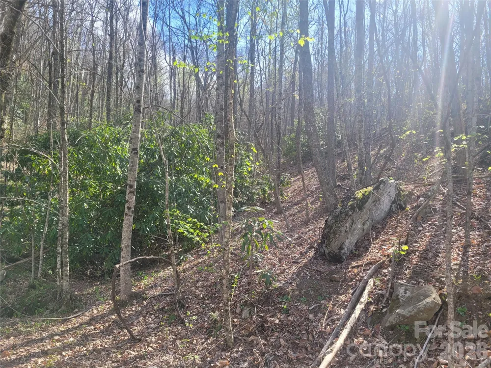 9999 Lytle Cove Road Road Swannanoa, NC 28778