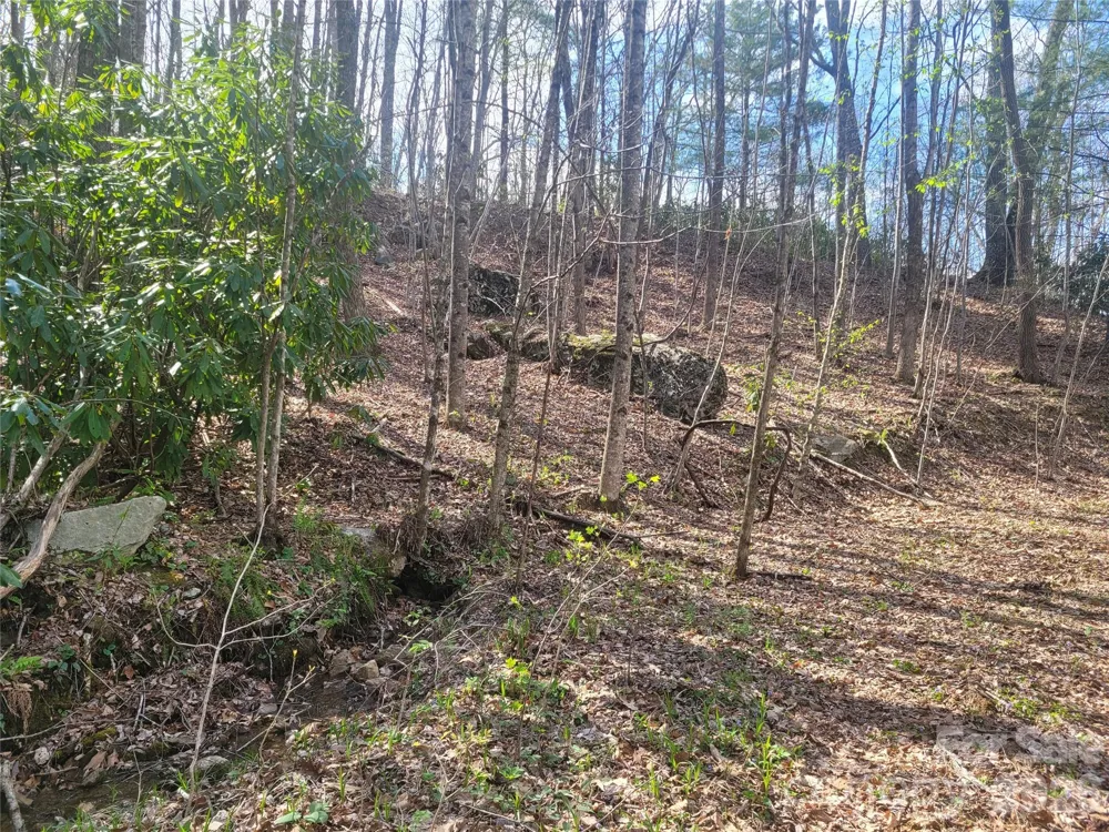 9999 Lytle Cove Road Road Swannanoa, NC 28778