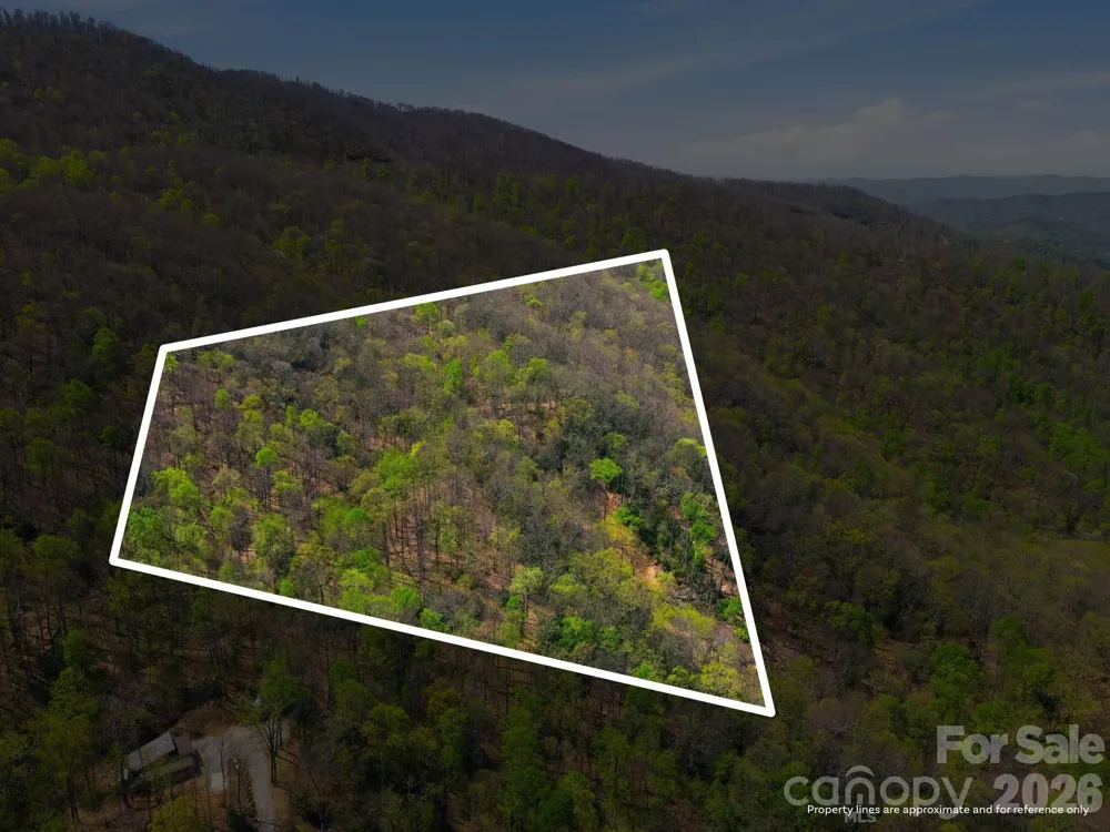 9999 Lytle Cove Road Road Swannanoa, NC 28778
