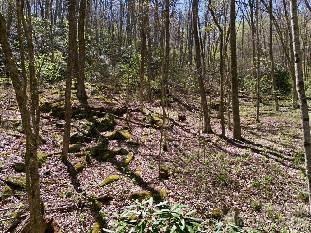 9999 Lytle Cove Road Road Swannanoa, NC 28778
