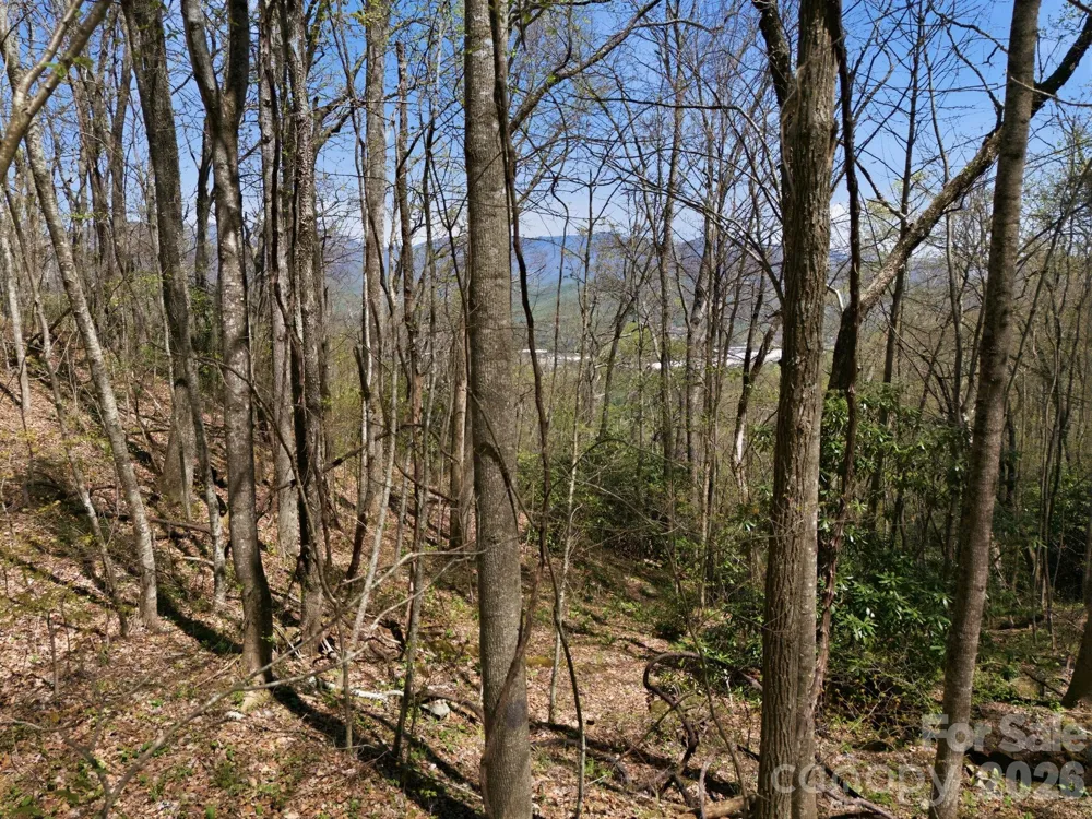 9999 Lytle Cove Road Road Swannanoa, NC 28778