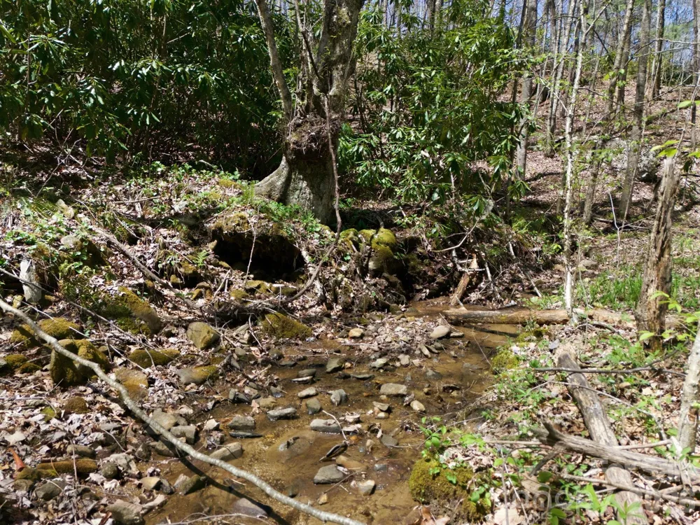 9999 Lytle Cove Road Road Swannanoa, NC 28778