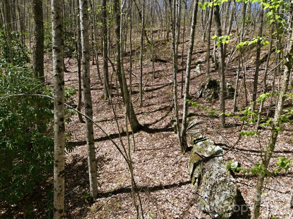 9999 Lytle Cove Road Road Swannanoa, NC 28778
