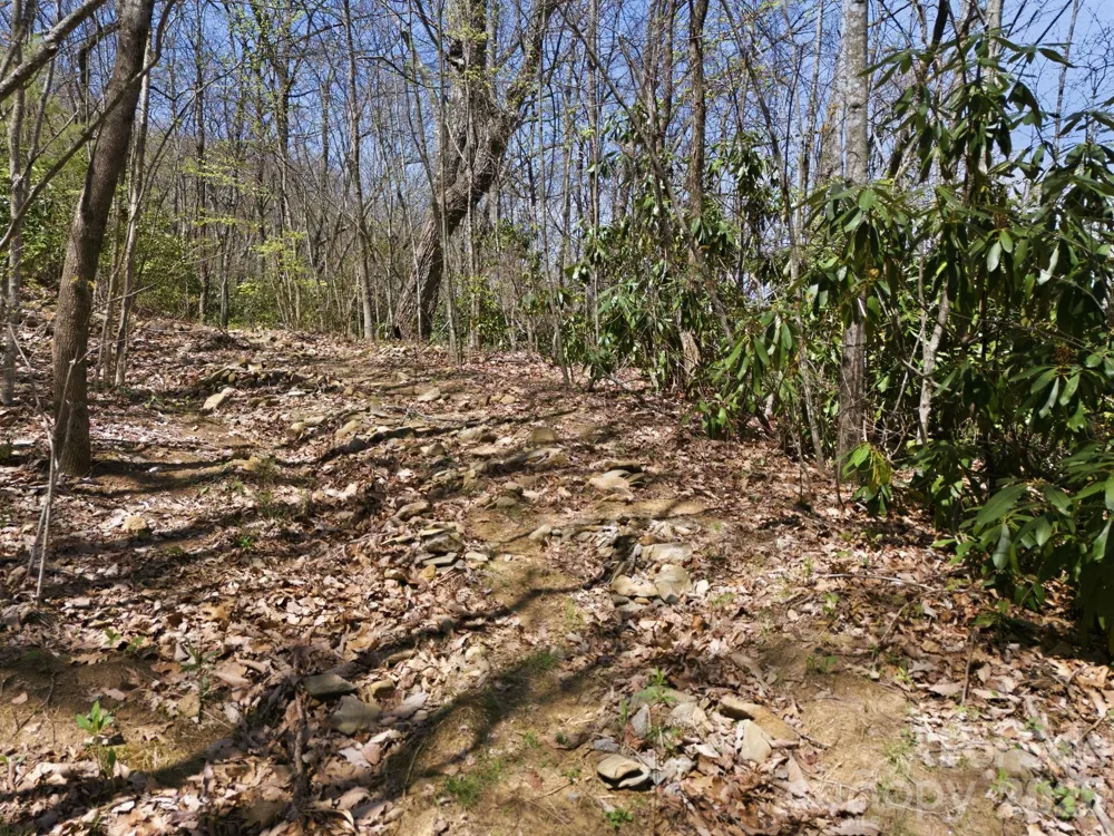 9999 Lytle Cove Road Road Swannanoa, NC 28778