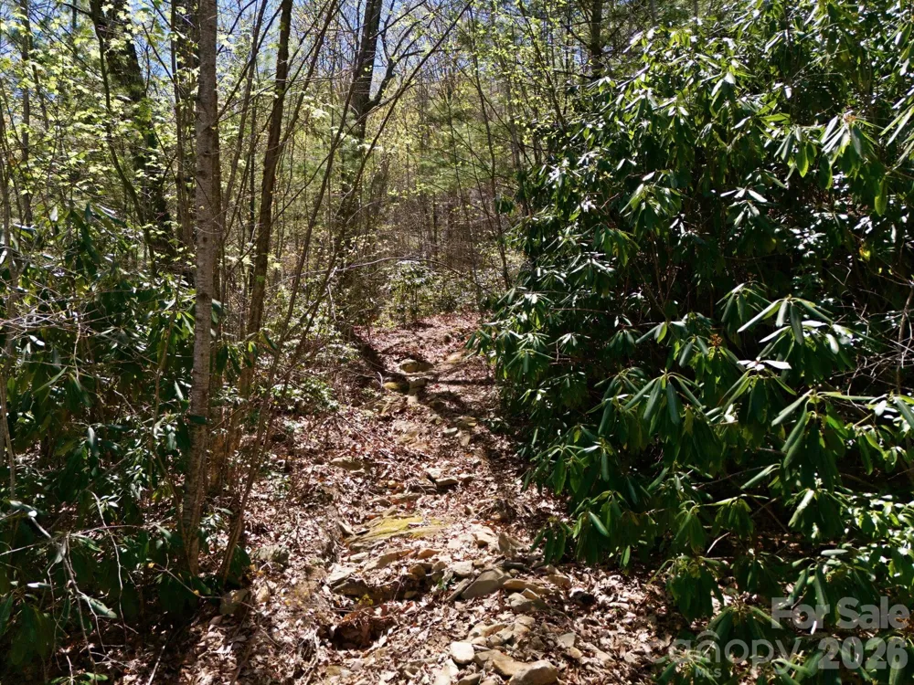 9999 Lytle Cove Road Road Swannanoa, NC 28778