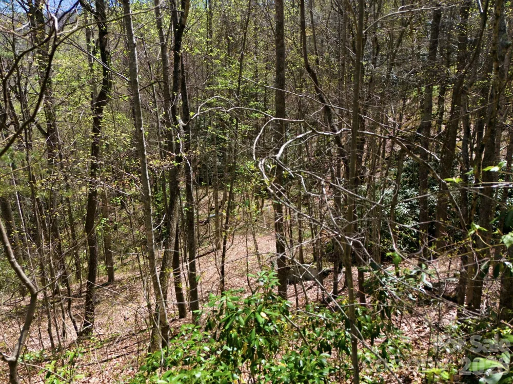 9999 Lytle Cove Road Road Swannanoa, NC 28778