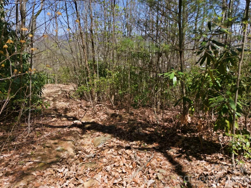 9999 Lytle Cove Road Road Swannanoa, NC 28778