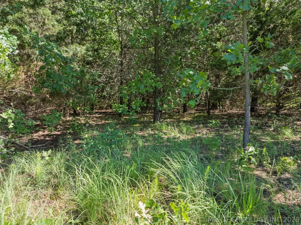 Chisholm Trail Burneyville, OK 73430