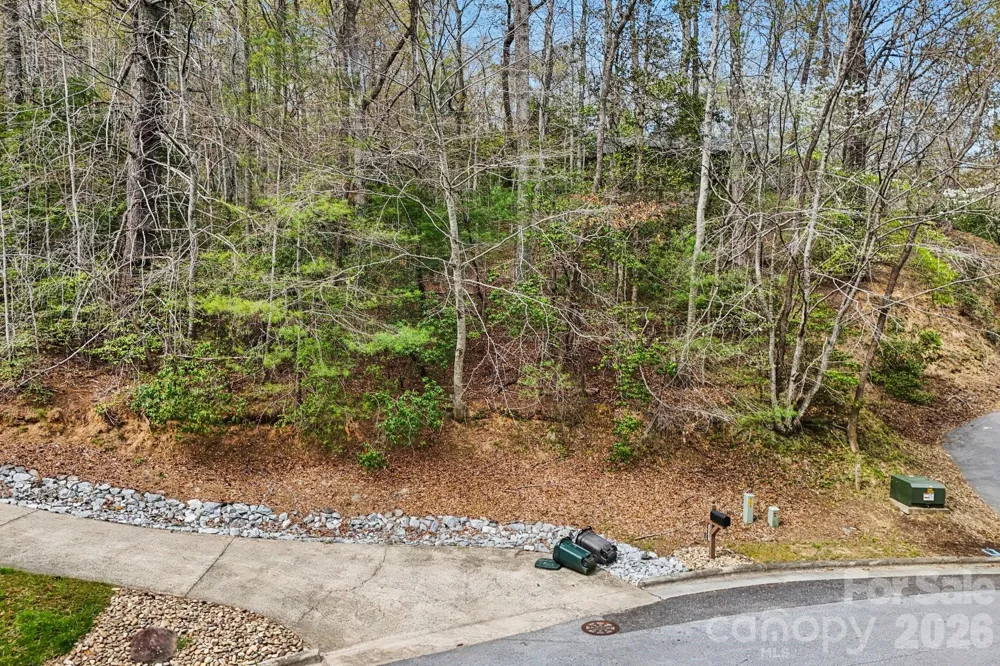 Lot 61 Deerlake Drive Brevard, NC 28712
