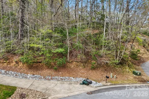 Lot 61 Deerlake Drive