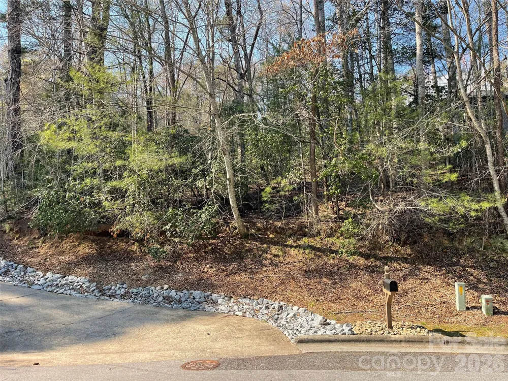Lot 61 Deerlake Drive Brevard, NC 28712
