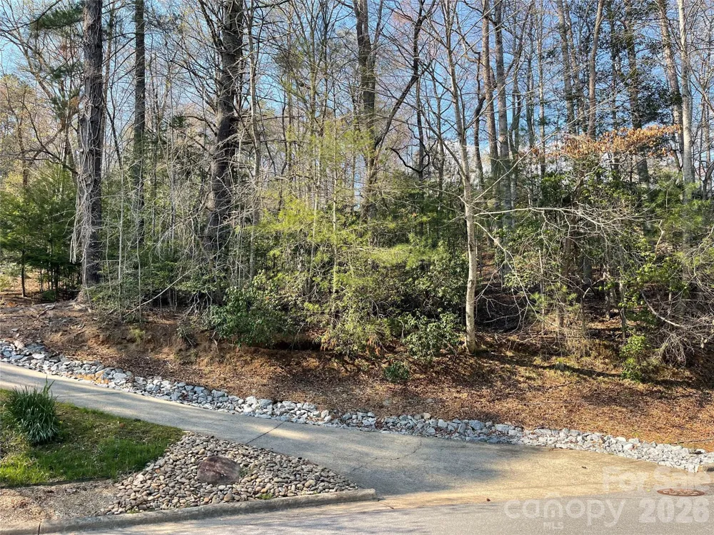 Lot 61 Deerlake Drive Brevard, NC 28712