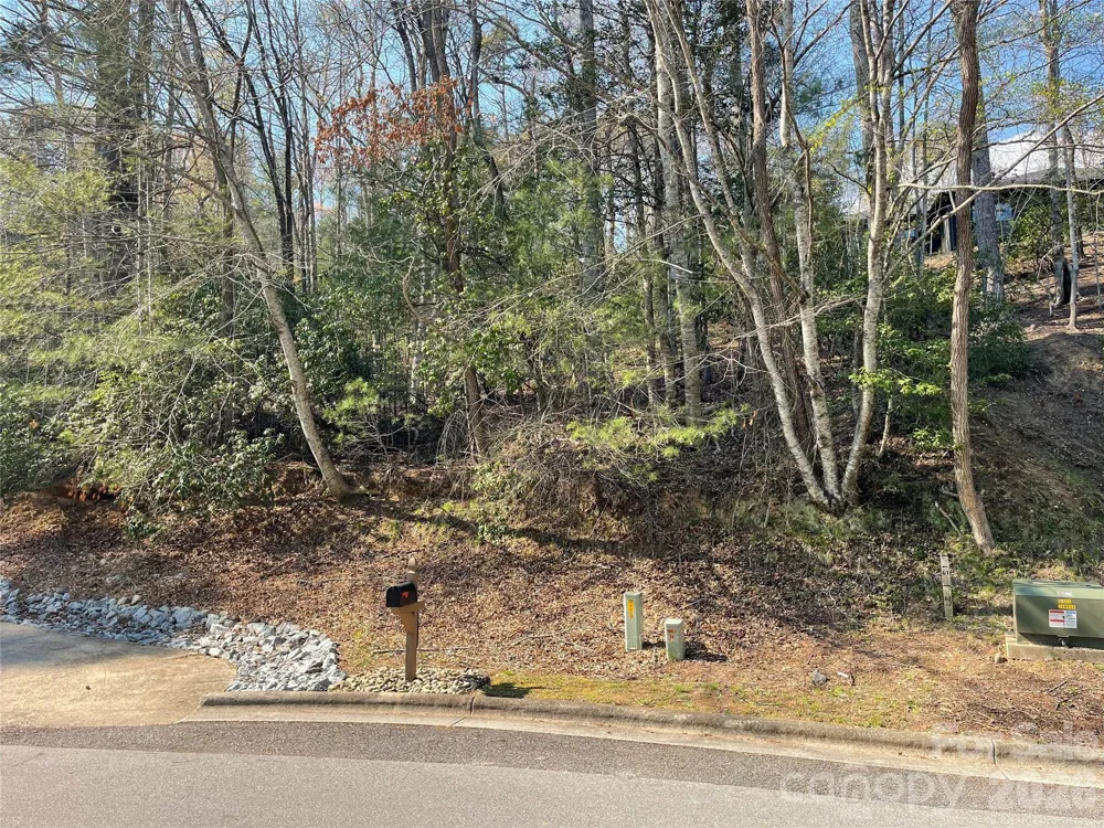 Lot 61 Deerlake Drive Brevard, NC 28712