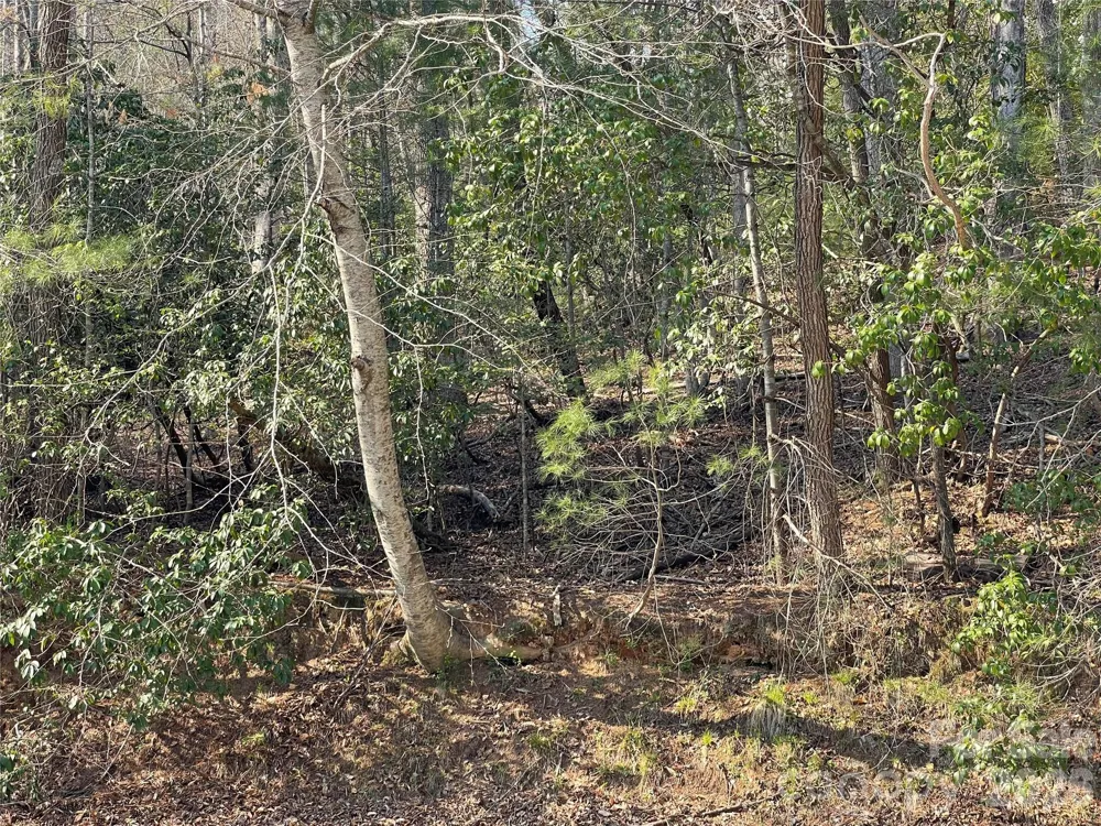 Lot 61 Deerlake Drive Brevard, NC 28712