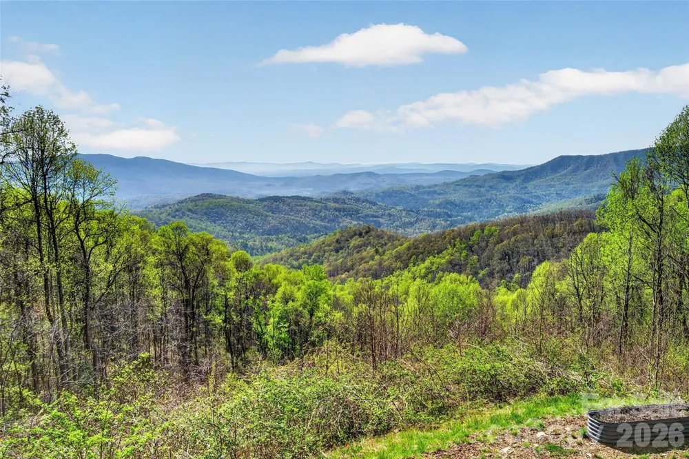 155 Wrenlock Drive Little Switzerland, NC 28749