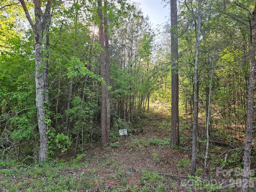 0 Old Hollis Road #2 Ellenboro, NC 28040