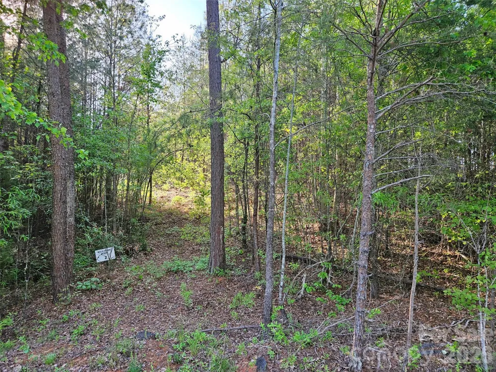 0 Old Hollis Road #2 Ellenboro, NC 28040