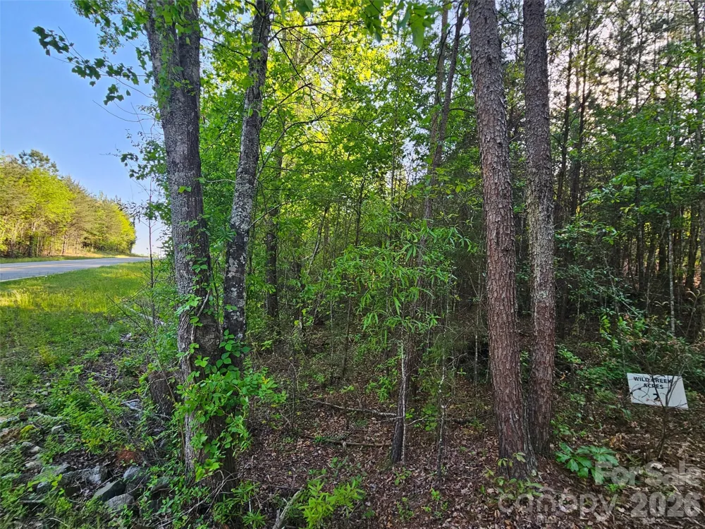 0 Old Hollis Road #2 Ellenboro, NC 28040
