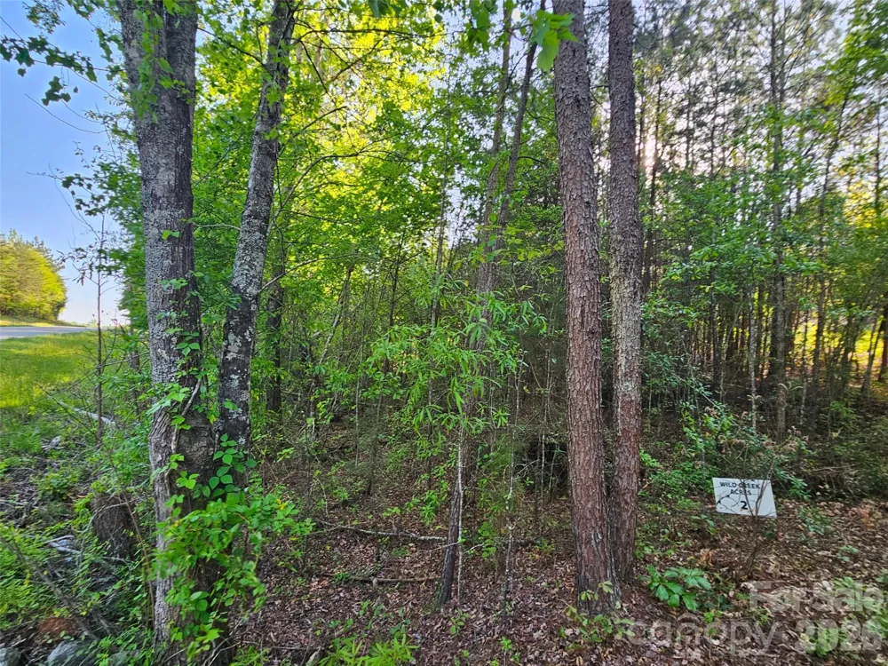 0 Old Hollis Road #2 Ellenboro, NC 28040