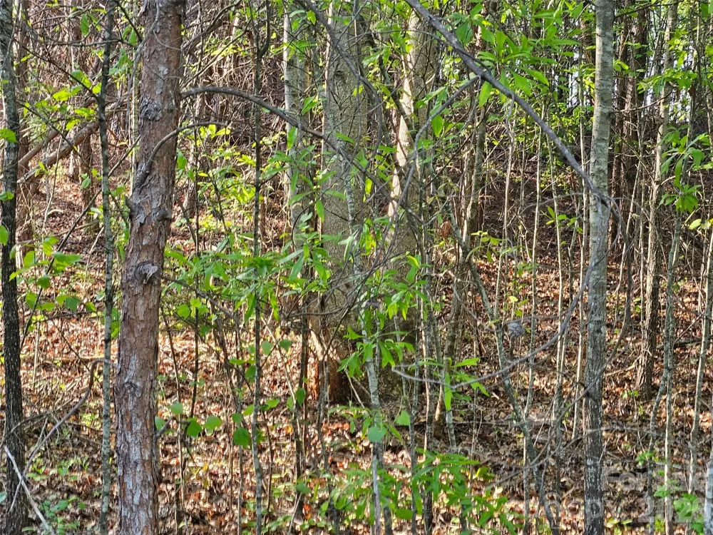 0 Old Hollis Road #2 Ellenboro, NC 28040