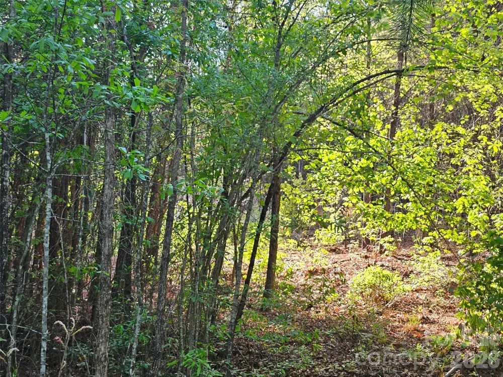 0 Old Hollis Road #2 Ellenboro, NC 28040