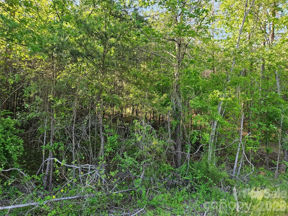 0 Old Hollis Road #2 Ellenboro, NC 28040