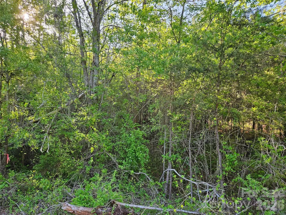 0 Old Hollis Road #2 Ellenboro, NC 28040