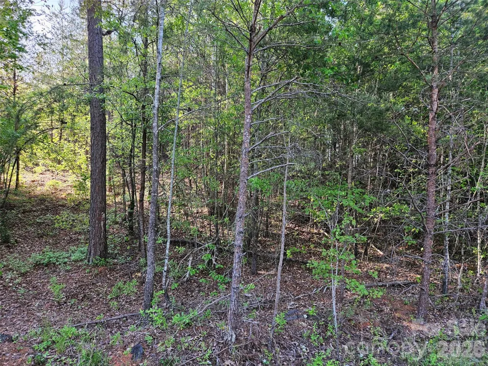 0 Old Hollis Road #2 Ellenboro, NC 28040