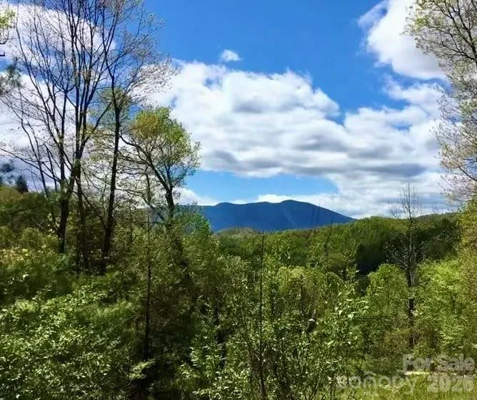 65 Blue Ridge Gem Mine Road Little Switzerland, NC 28777
