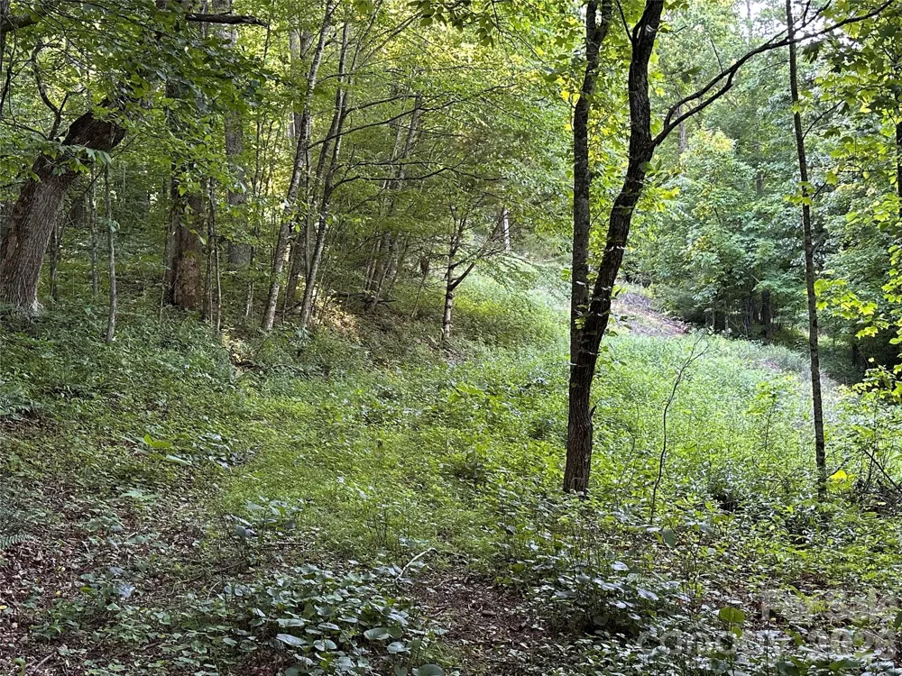 65 Blue Ridge Gem Mine Road Little Switzerland, NC 28777