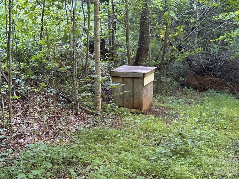 65 Blue Ridge Gem Mine Road Little Switzerland, NC 28777