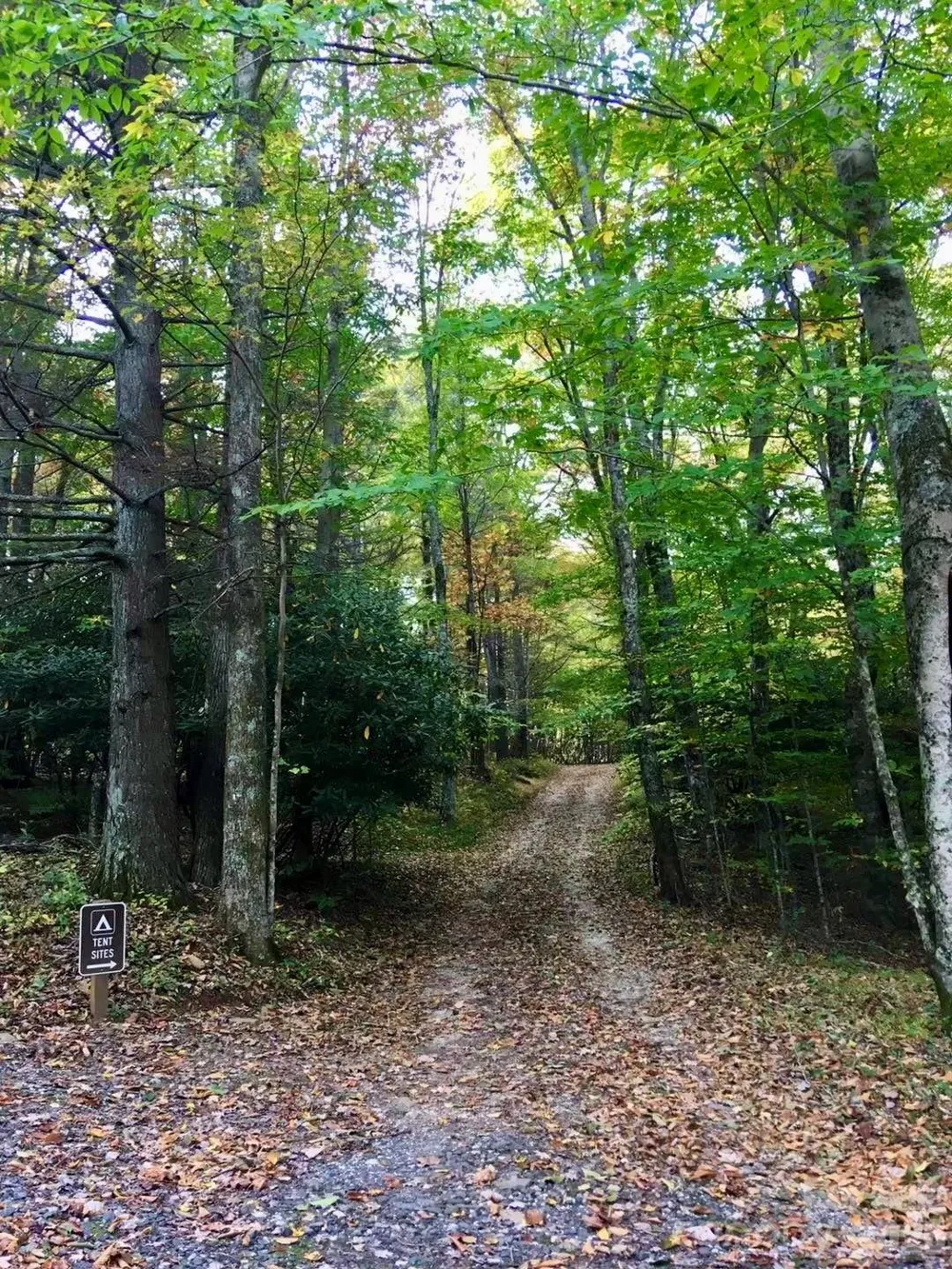 65 Blue Ridge Gem Mine Road Little Switzerland, NC 28777