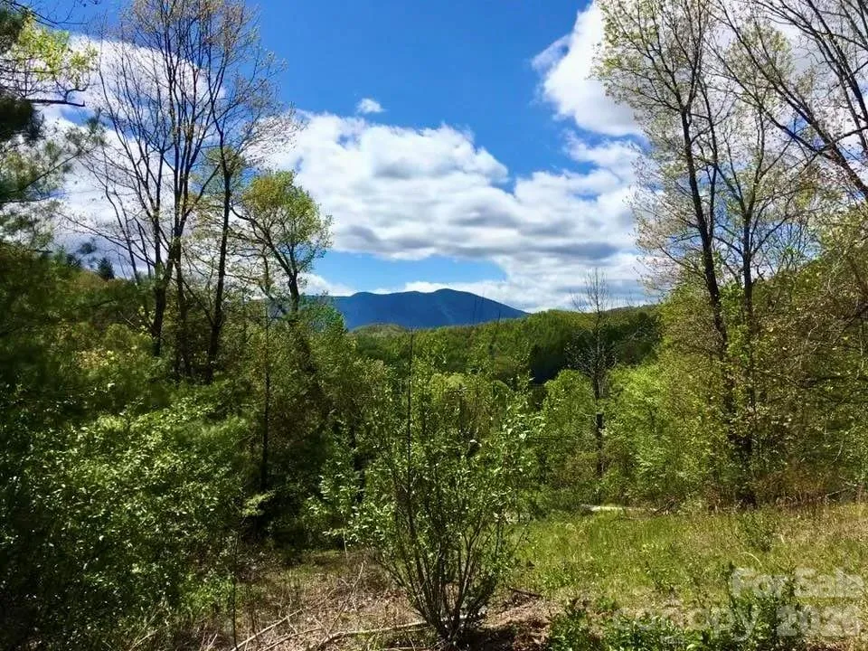 65 Blue Ridge Gem Mine Road Little Switzerland, NC 28777