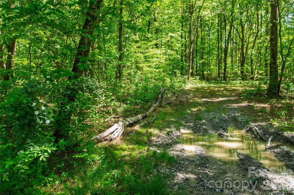 N/A Mill Creek Road Blacksburg, SC 29702