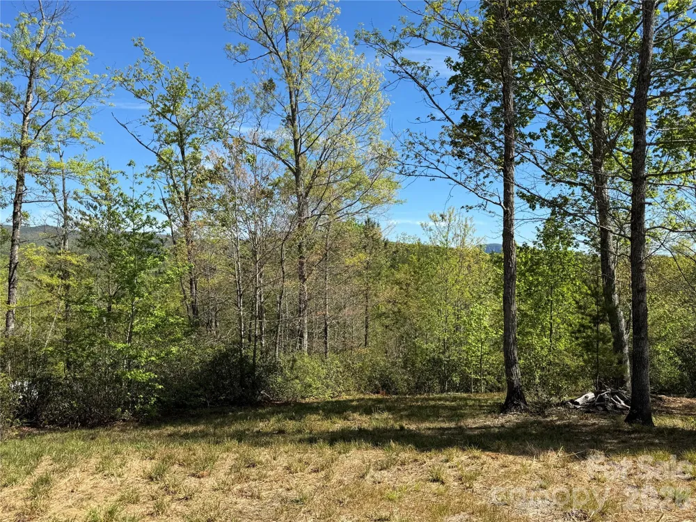 284 Bear Cliff Circle Nebo, NC 28761
